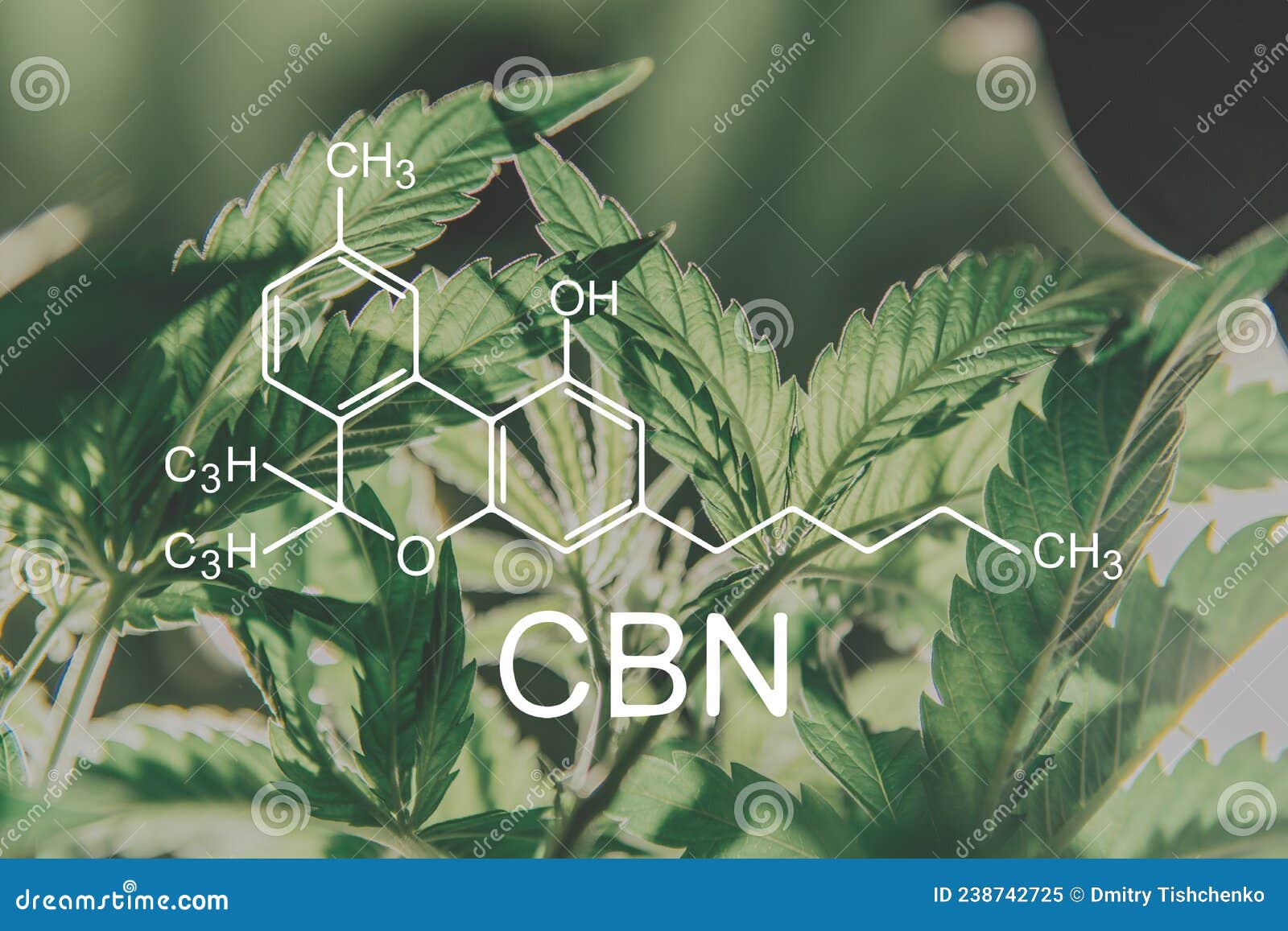Cannabis with the CBN Chemical Formula. Cannabinol Molecule. Stock ...