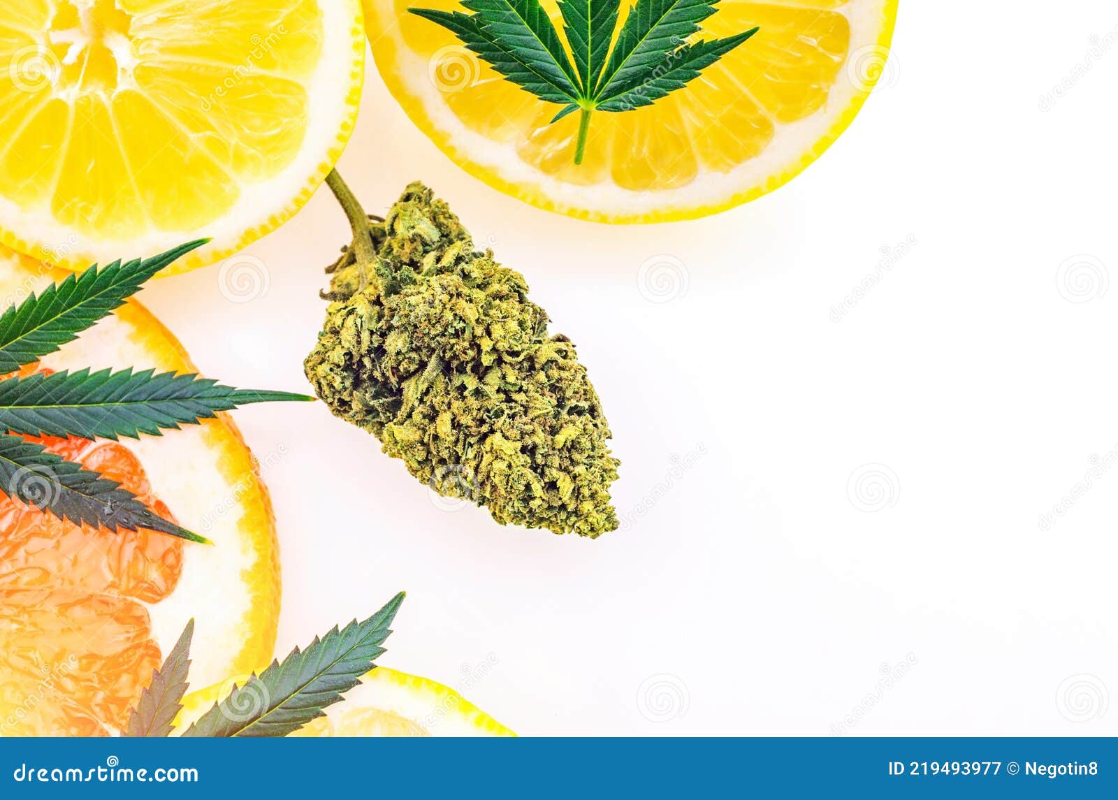 Cannabis Terpenes Concept with Marijuana Flower Bud Lemons Grapefruit