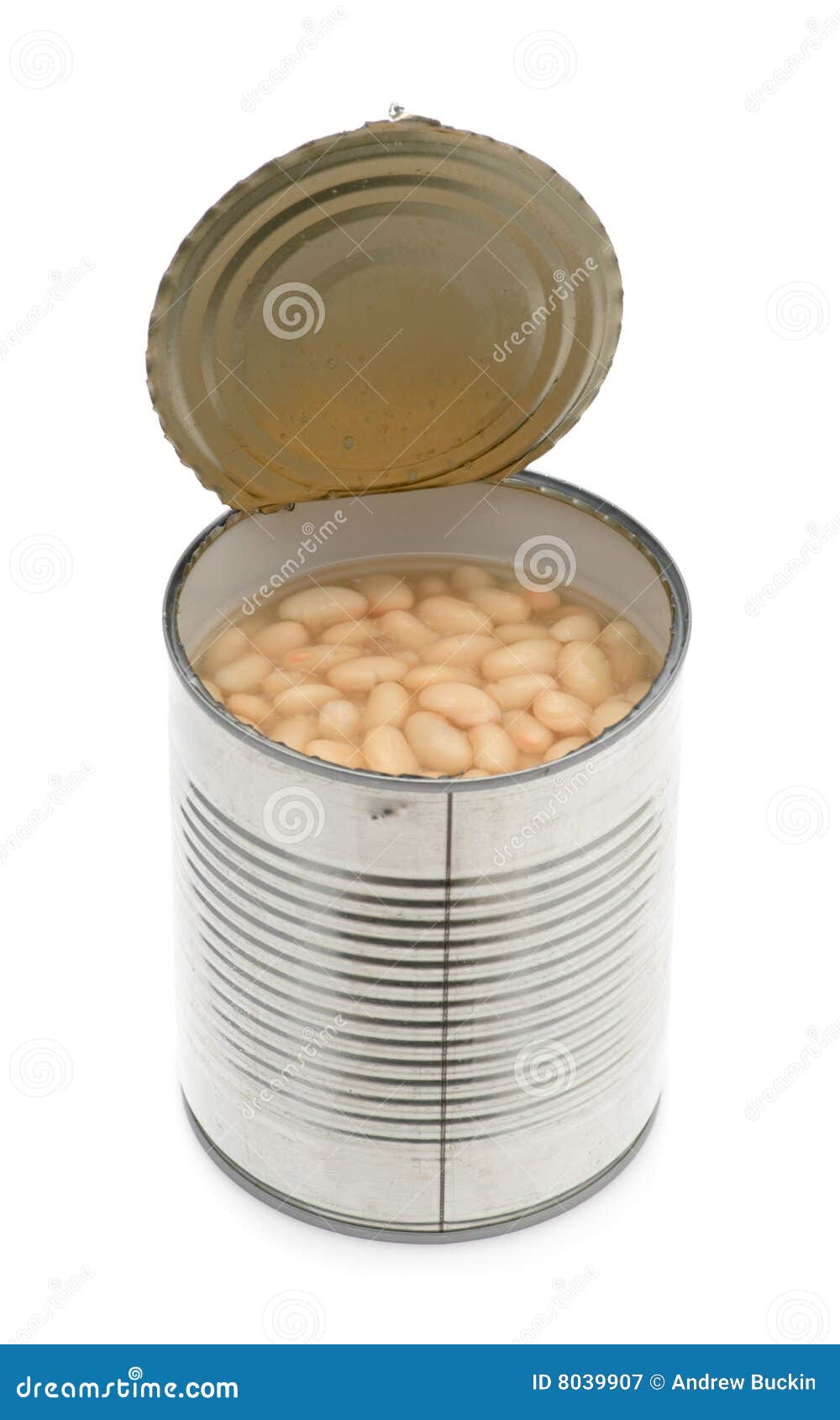 Canned bean stock image. Image of invention, object, tool 8039907
