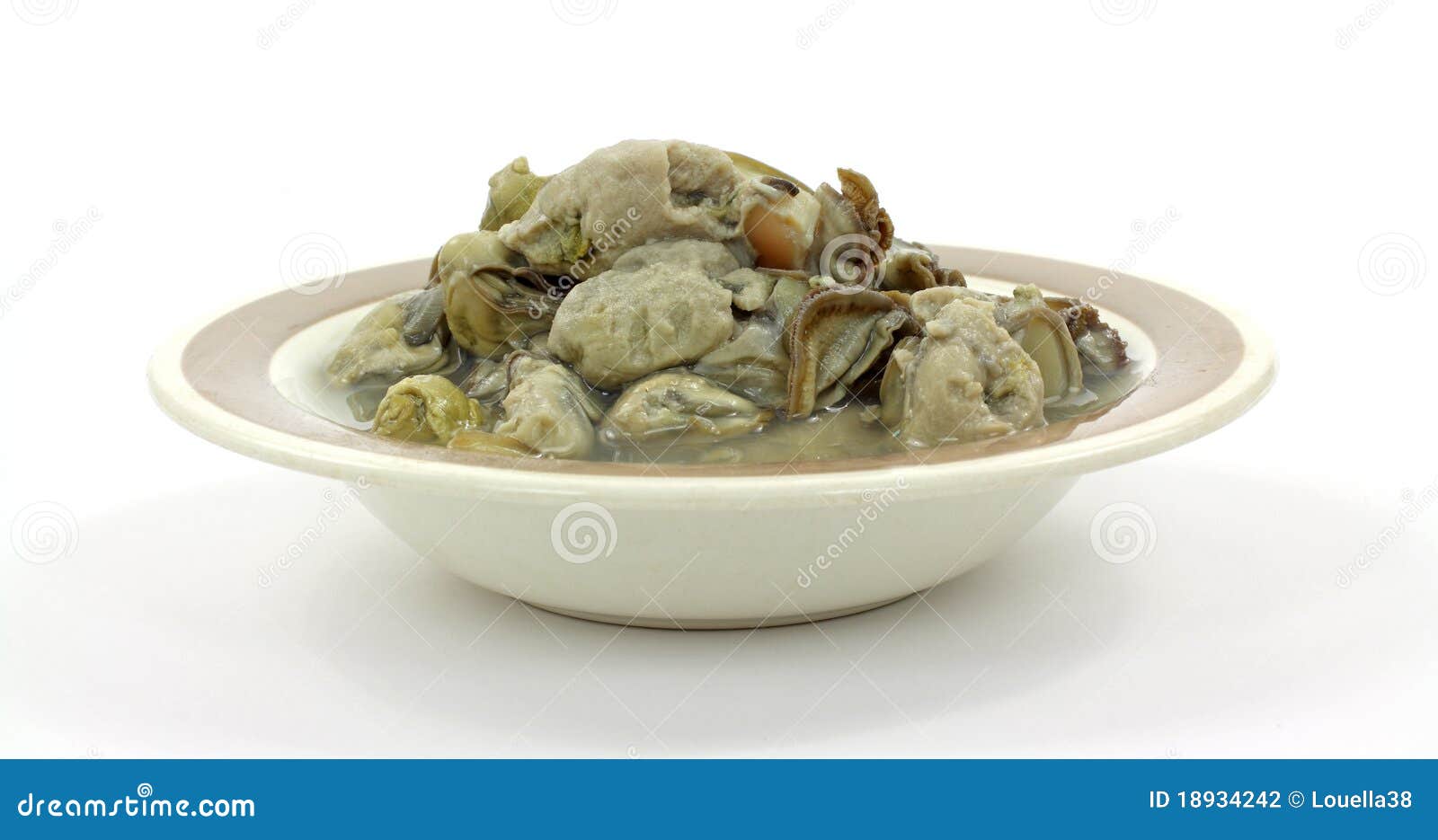 Canned Boiled Oysters Front View Stock Photo Image of healthy