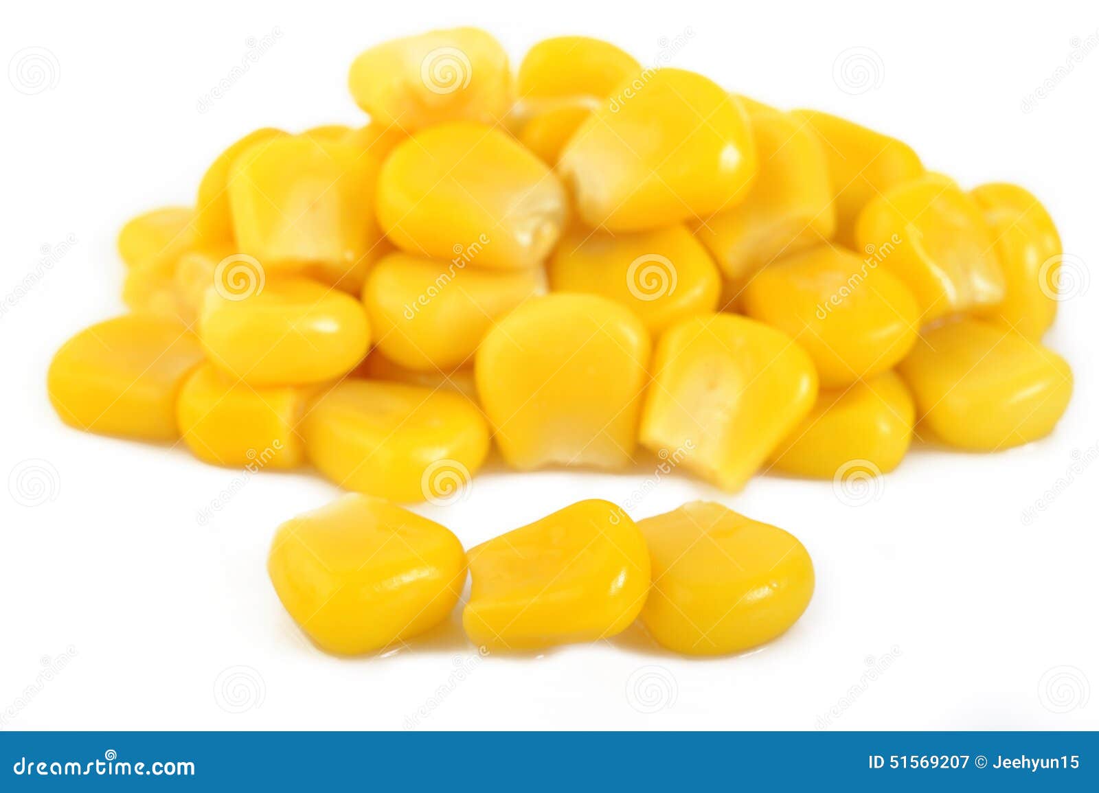Canned Corn Isolated on White Background Stock Image Image of food, seed 51569207