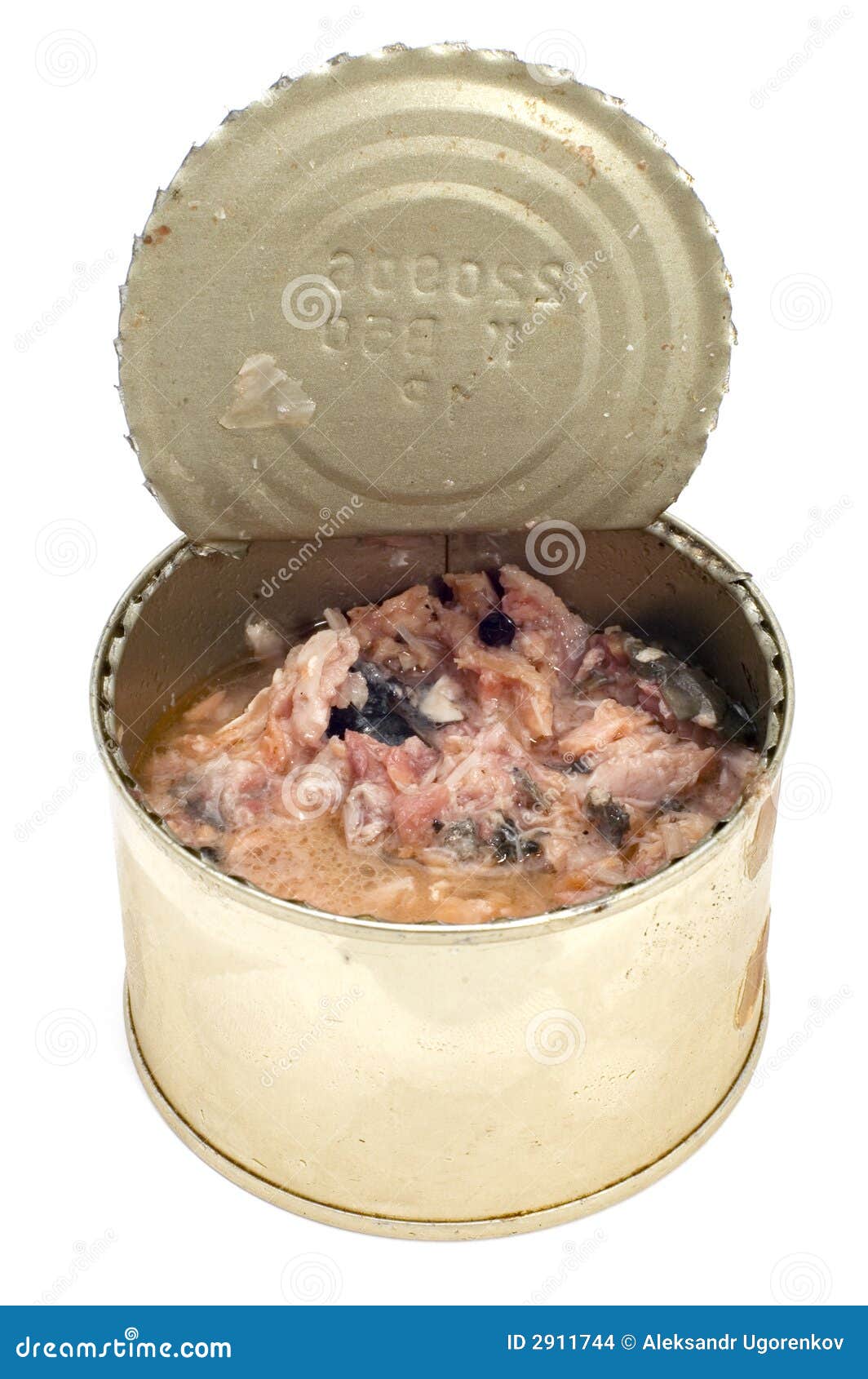 Canned fish stock photo. Image of canned, square, isolated 2911744