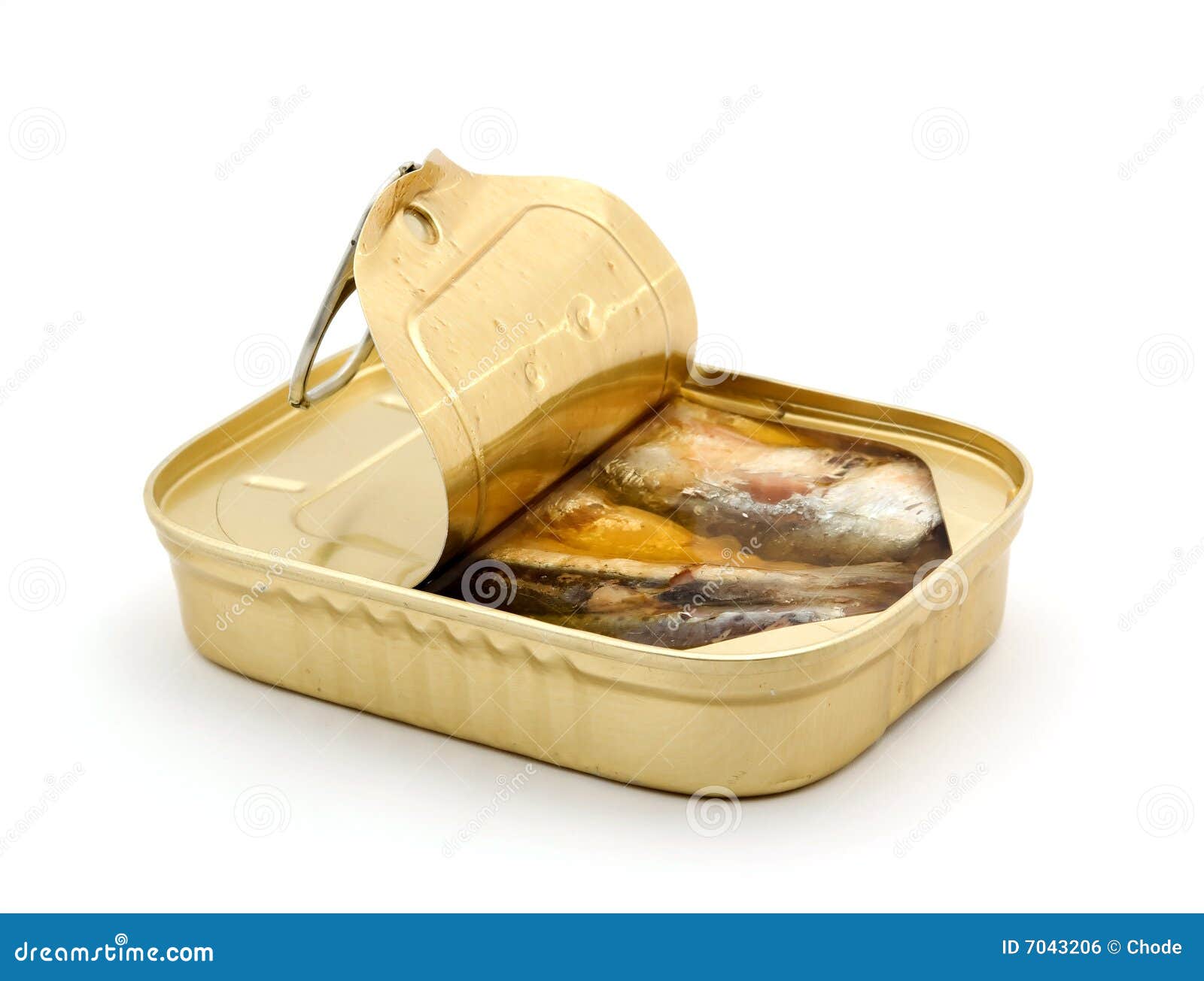 Canned fish stock photo. Image of metal, meat, container 7043206