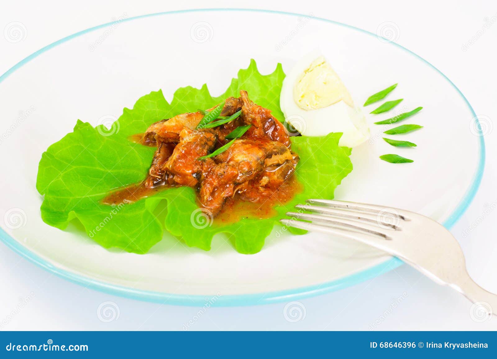 Canned Fish with Eggs on Lettuce Stock Photo Image of macro, group
