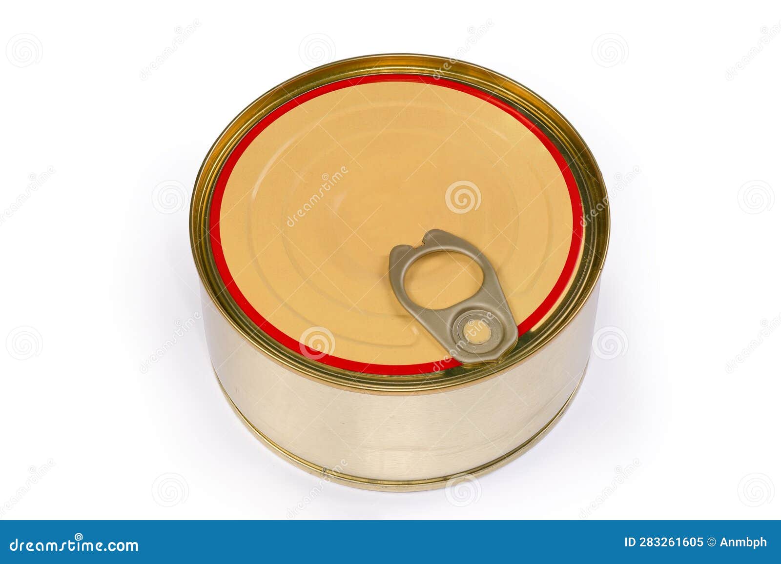 Canned Meat in Sealed Tin Can on White Background Stock Image Image