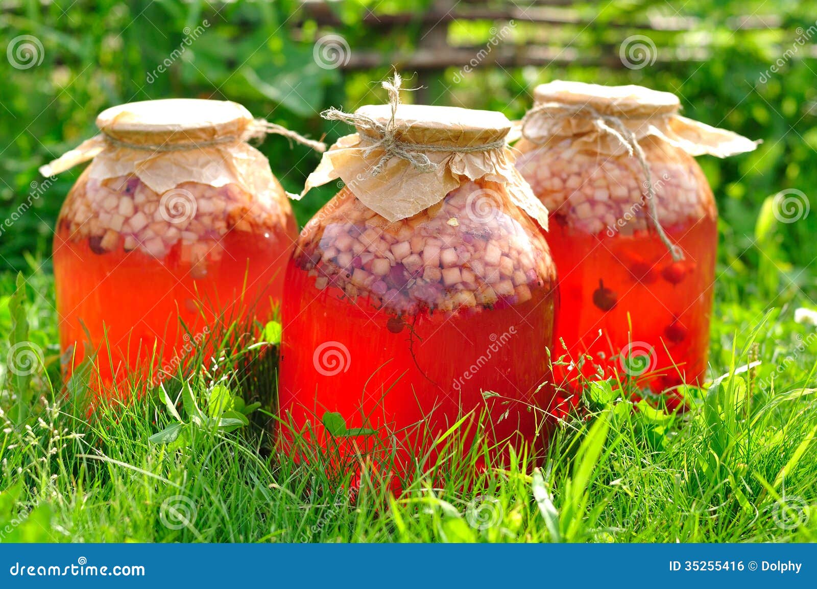 Canned Mixed Fruit Compote stock photo. Image of gooseberry 35255416