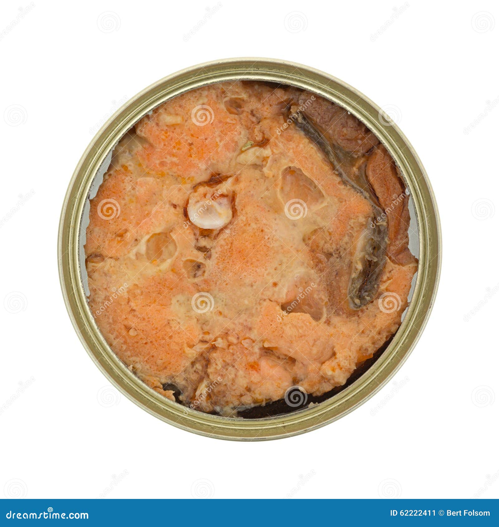 Canned Salmon in Tin on White Background Stock Image Image of