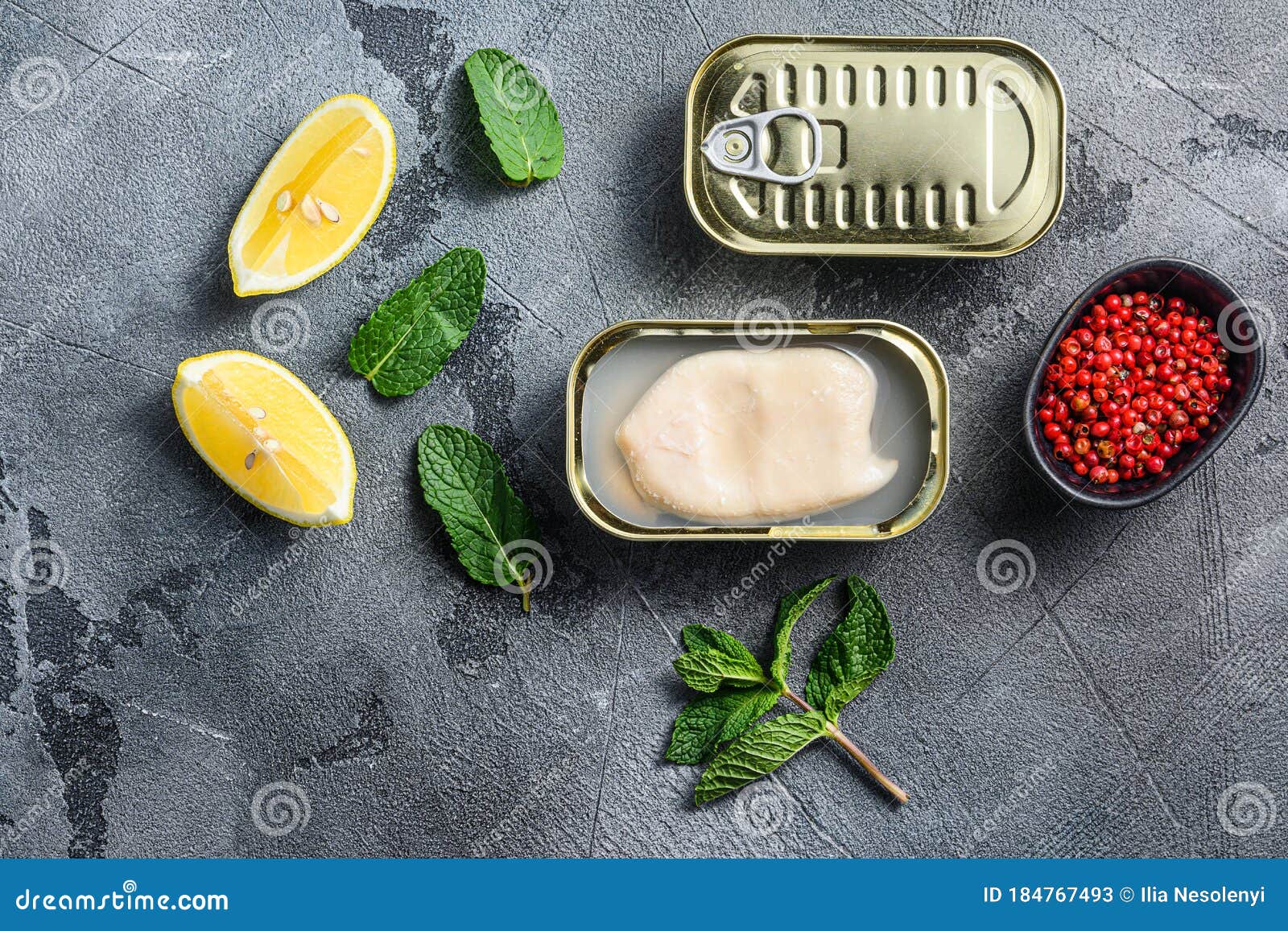 Canned Squid, Set of Opened Cans Closed Conserve with Fresh Leaves and