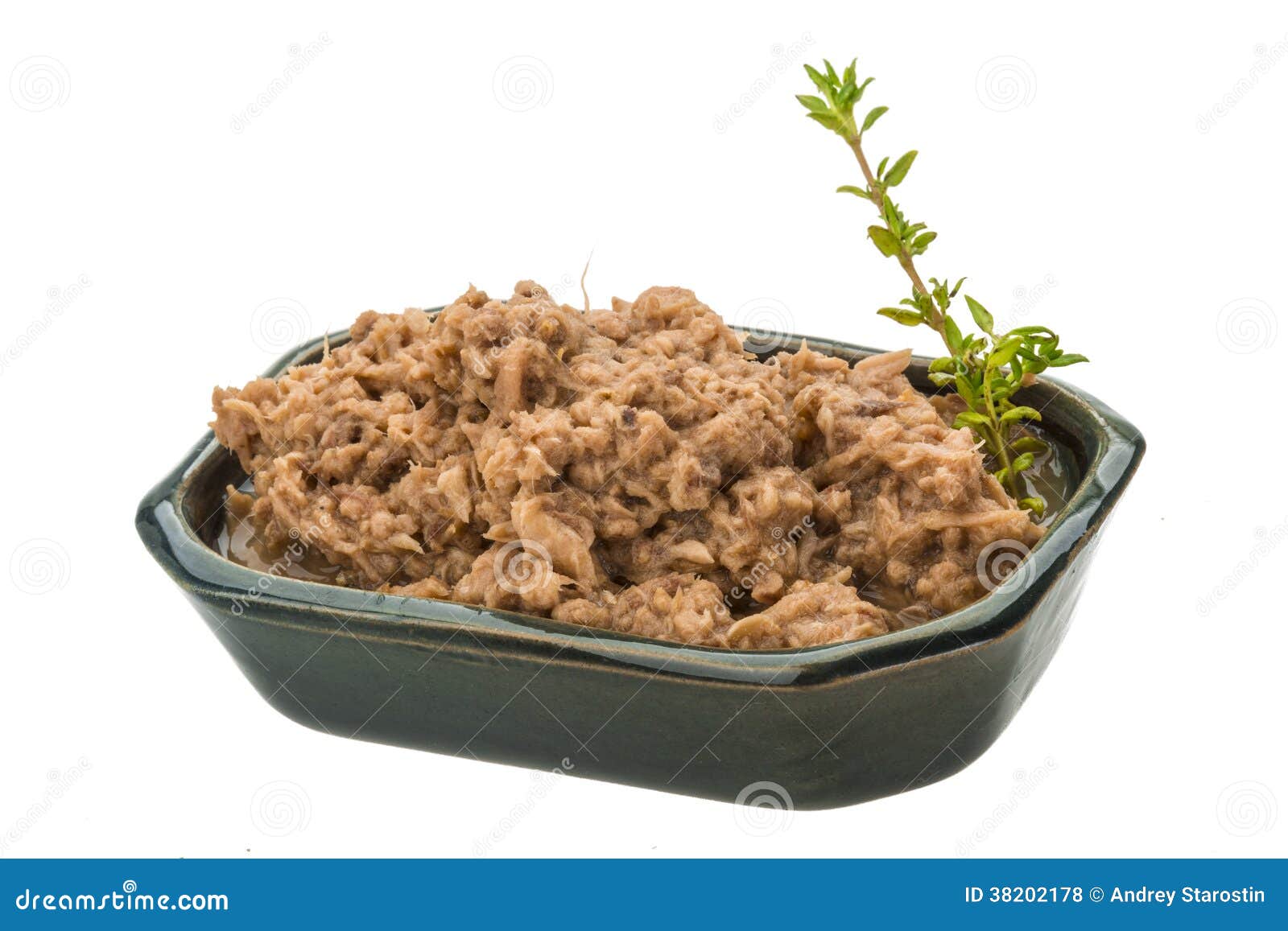 Canned Tuna fillet stock photo. Image of product, nutrition 38202178
