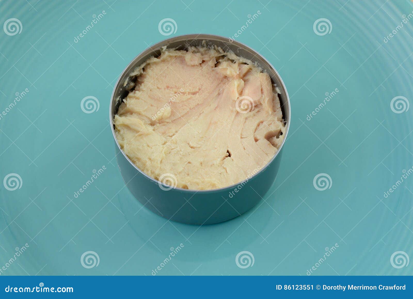 Canned Tuna fish stock image. Image of food, healthy 86123551