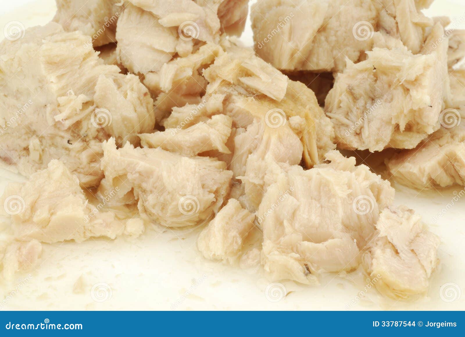 Canned tuna in olive oil stock photo. Image of metal 33787544