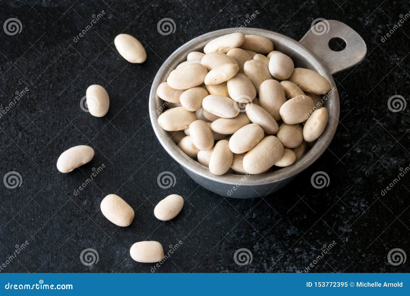 Uncooked White Kidney Beans in a Measuring Cup Stock Image Image of