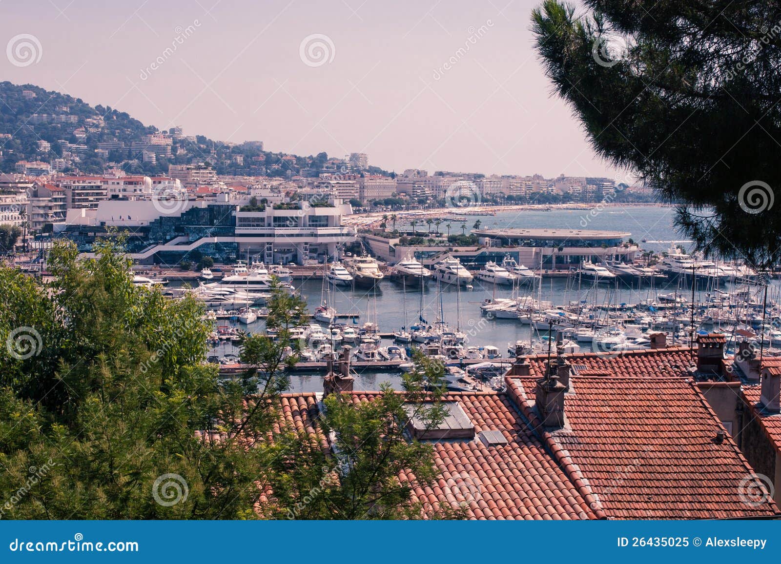 cannes marina south of france stock image - image of