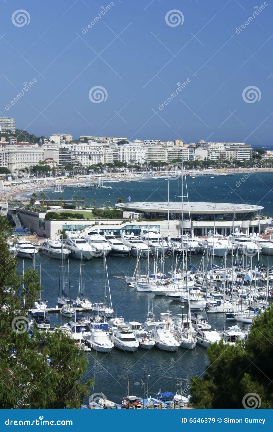 yachts cannes marina south of france riviera