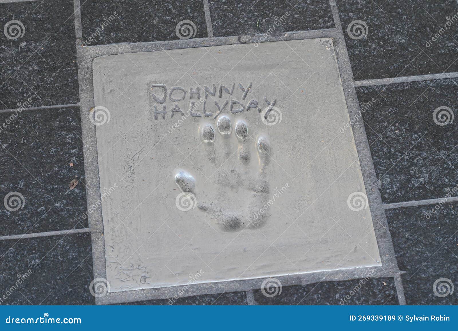 1,867 Johnny Hallyday Portrait Stock Photos, High-Res Pictures