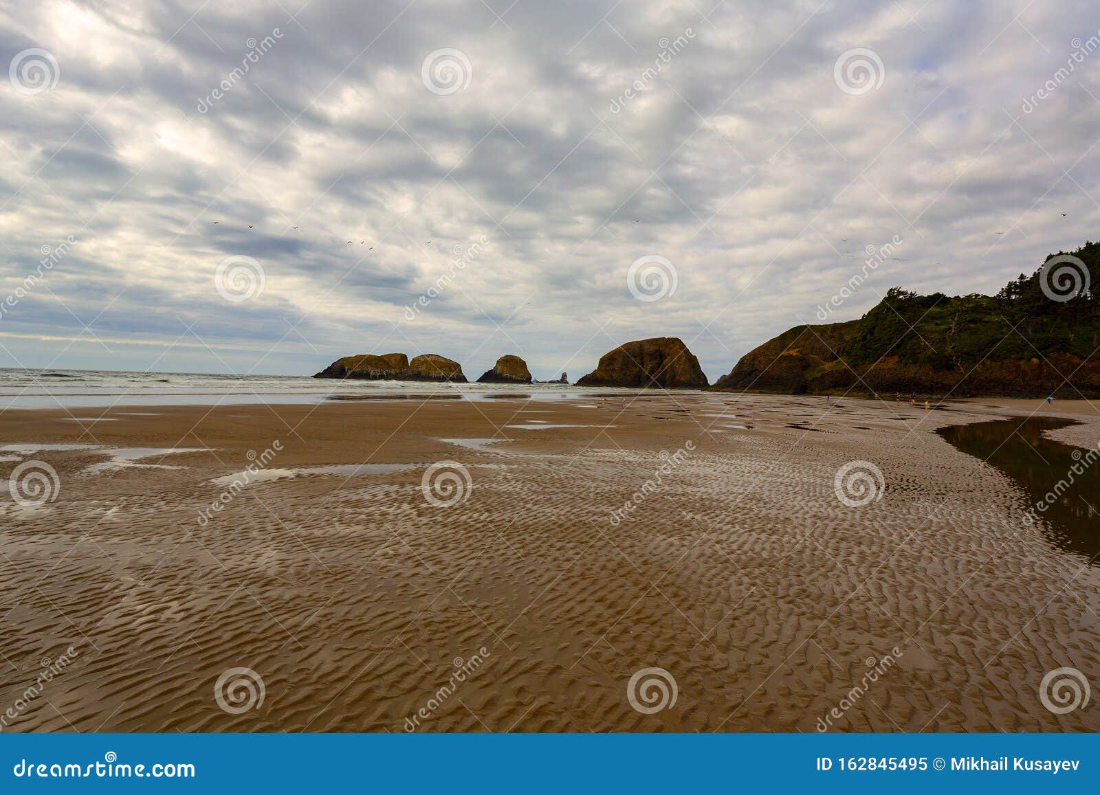 Cannon beach, Oregon stock image. Image of pasilandscape 162845495