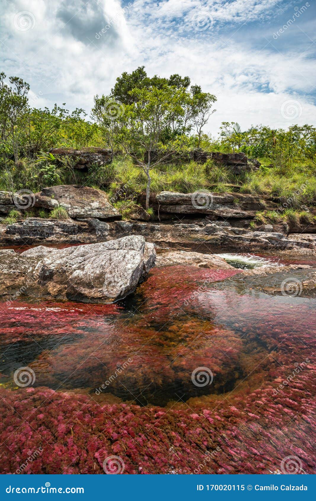 cano cristales the most beautiful river in the world