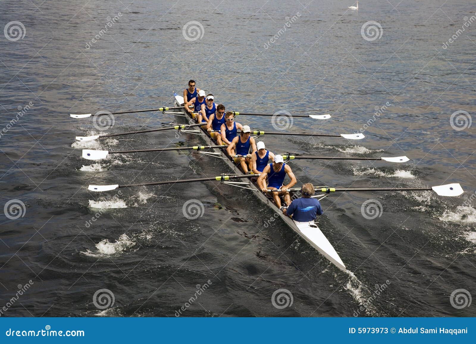 canoe racing editorial stock photo. image of rowers, leman