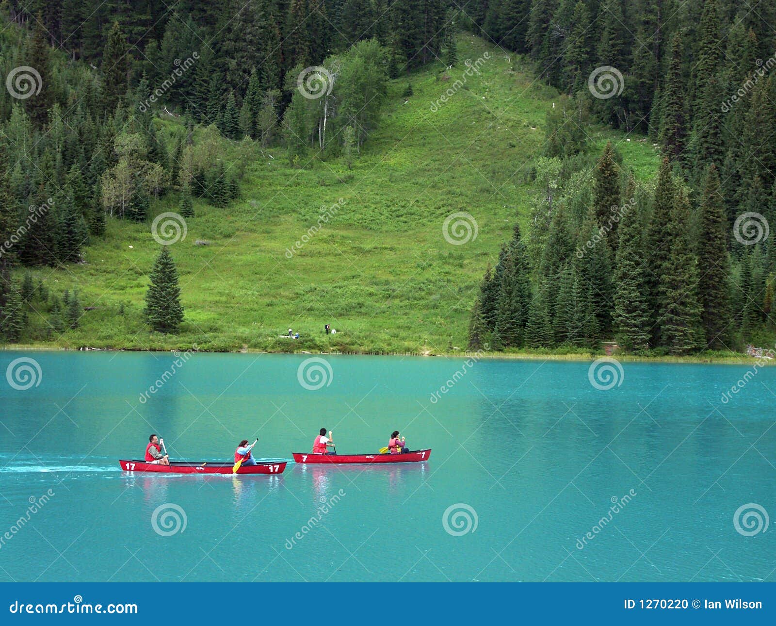 Canoeing on the Emerald Lake Stock Photo Image of rockies, national 1270220