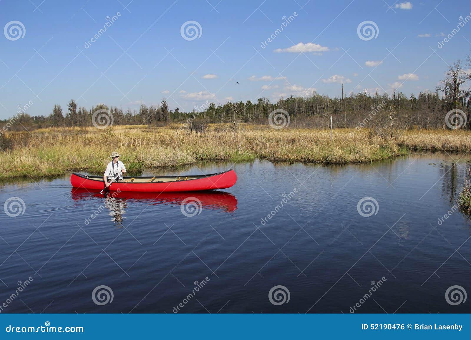 canoeing in the okefenokee swamp -georgia