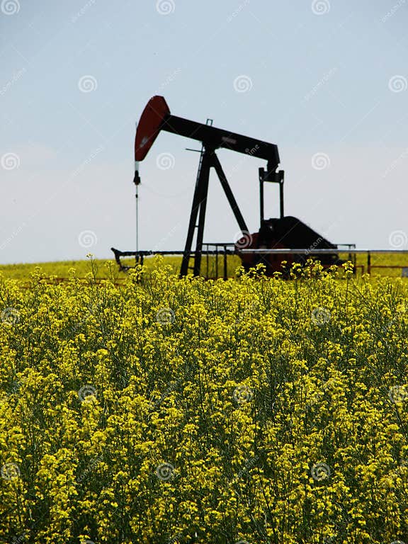 Canola Bio Fuel stock photo. Image of ethanol, resource 6032676