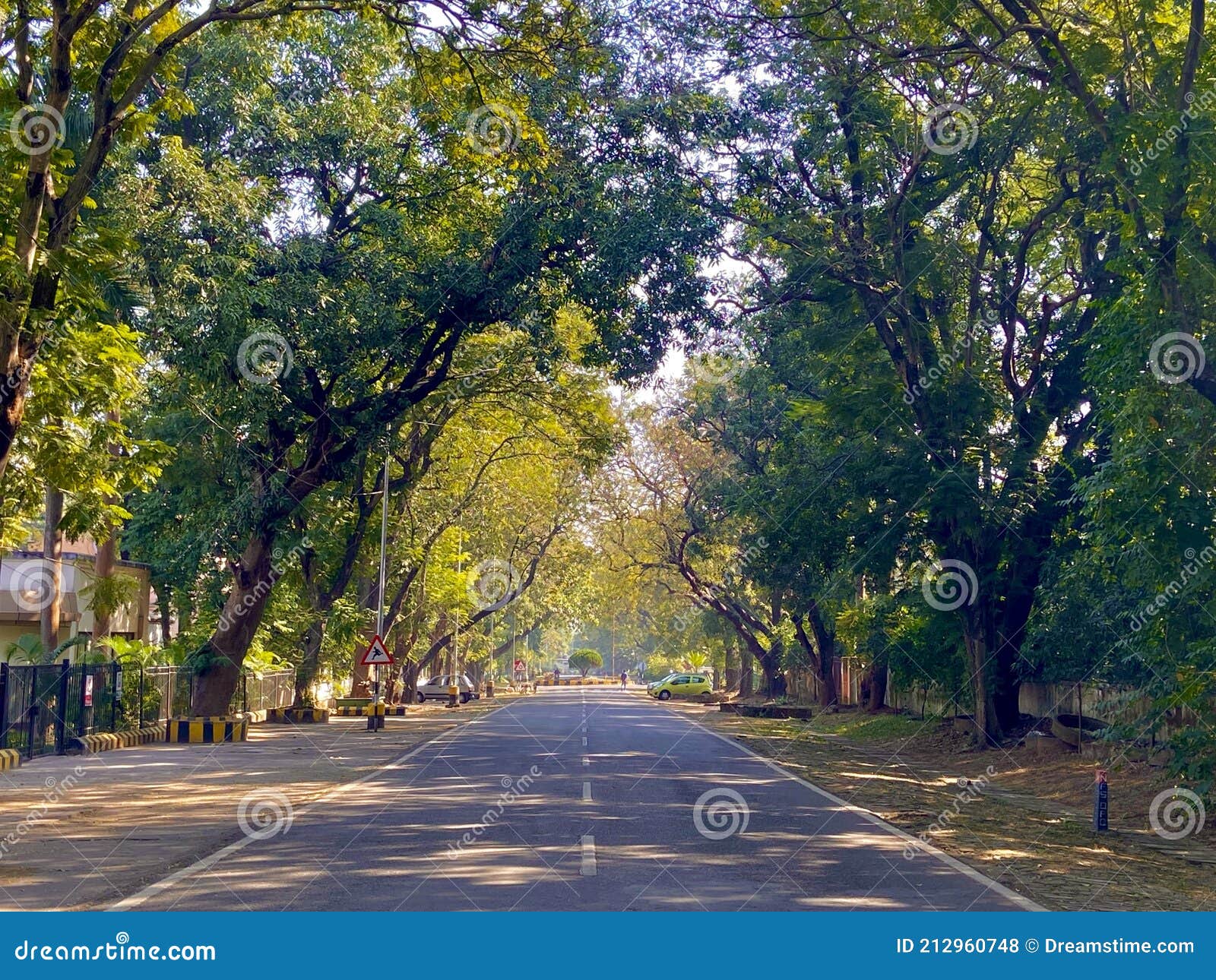Canopy road stock photo. Image of canopy, trees, shaded 212960748