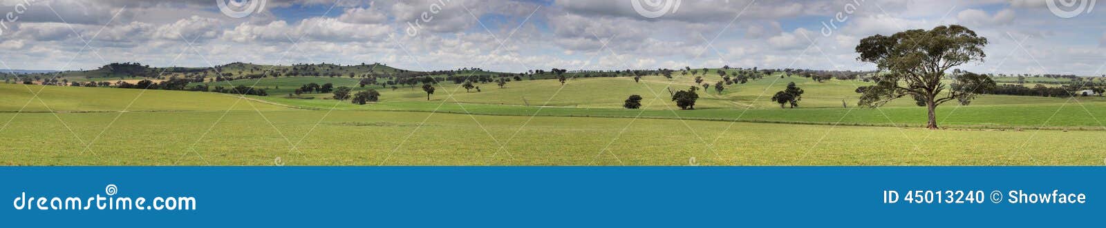 canowindra pastoral countryside landscape panorama
