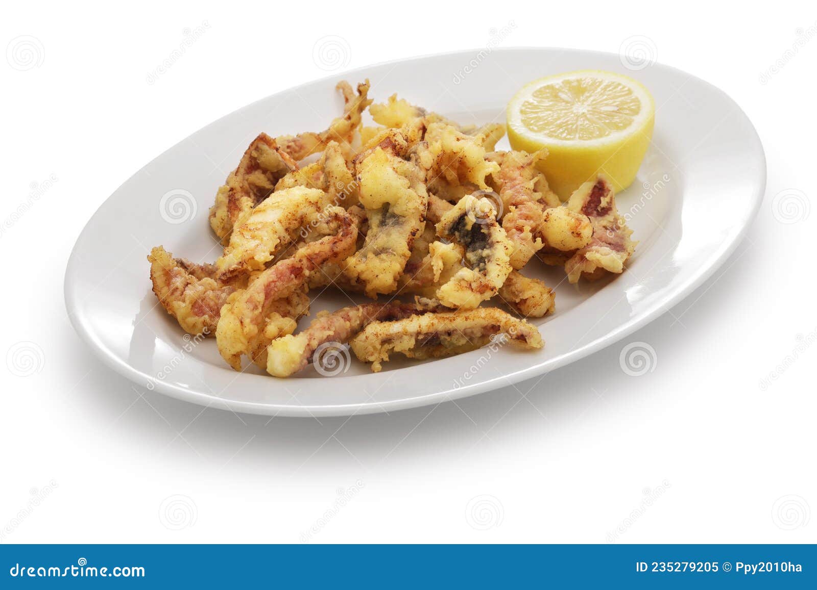 cantabrian fried squid, rabas de calamar