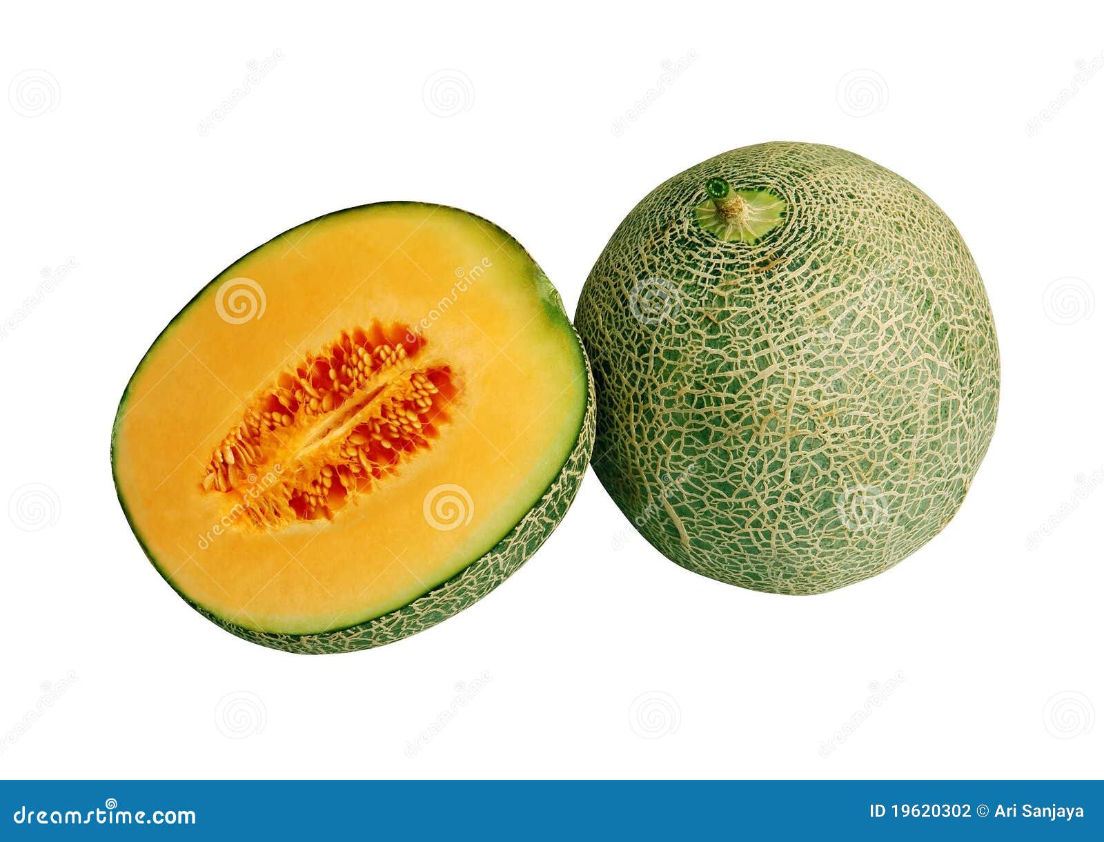 Cantaloupe Fruit stock photo. Image of dessert, fruit 19620302