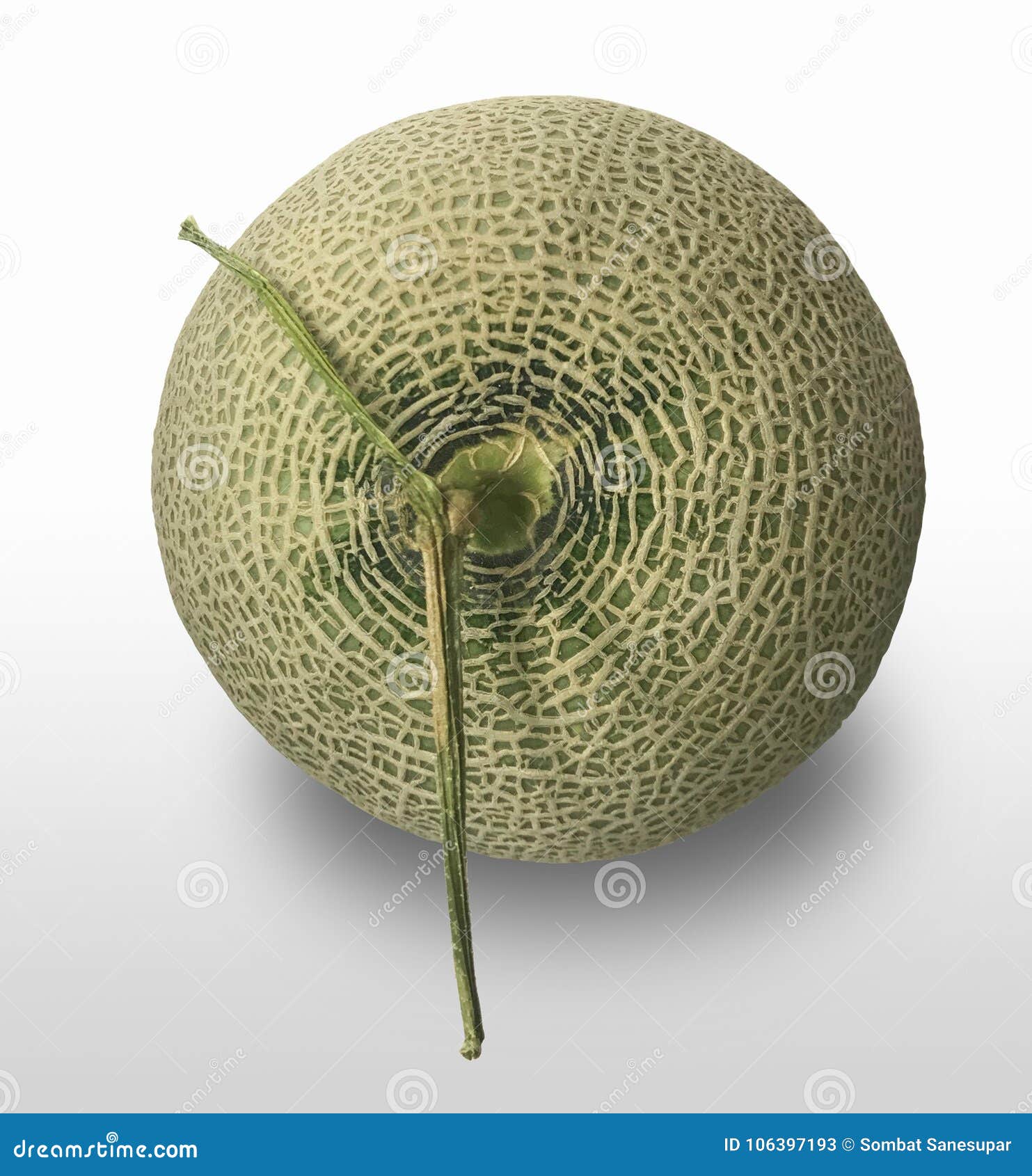 Cantaloupe stock image. Image of fruit, vegetable, cantaloupe 106397193