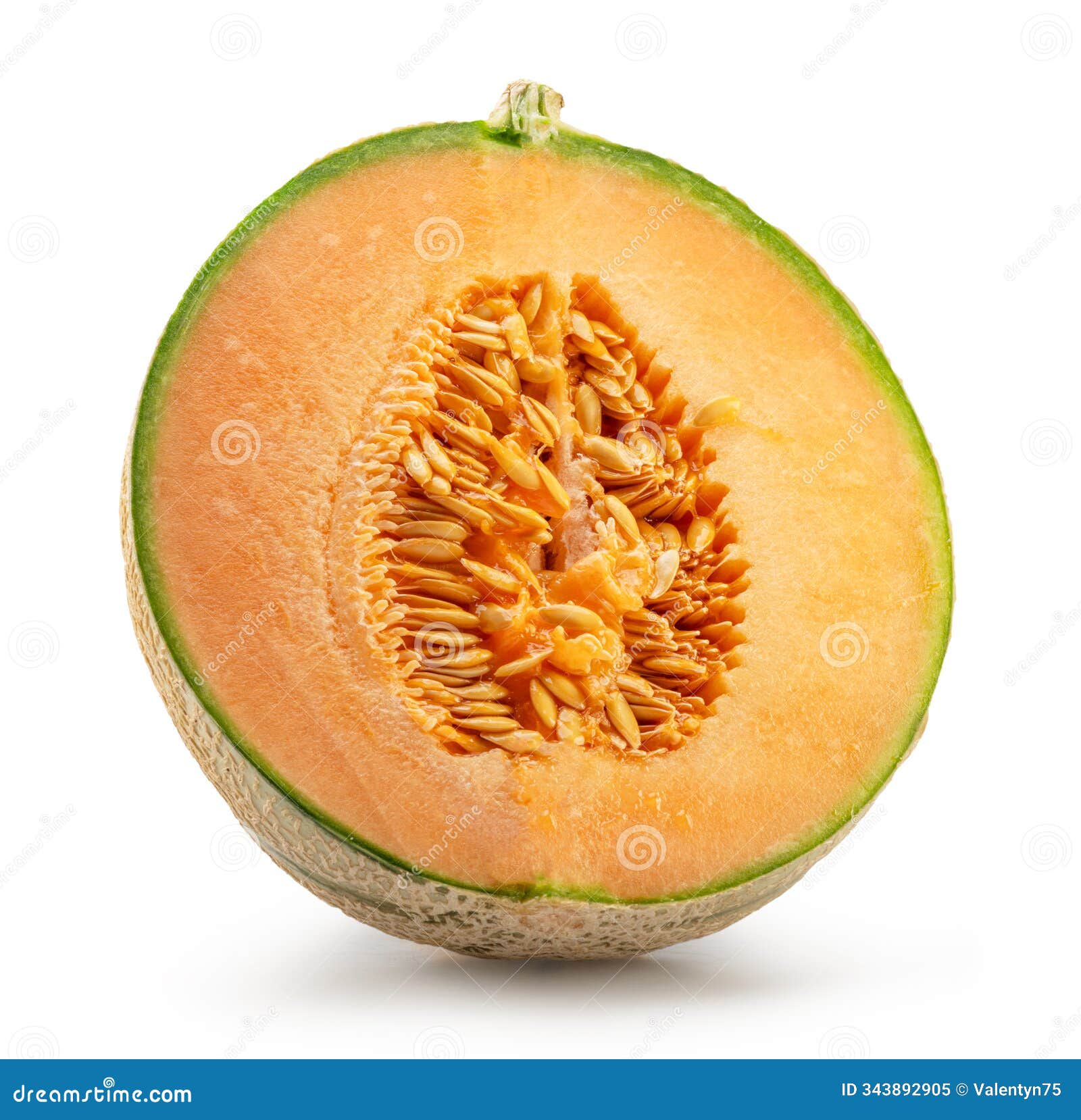 cantaloupe melon cross cut section  on white background. file contains clipping path
