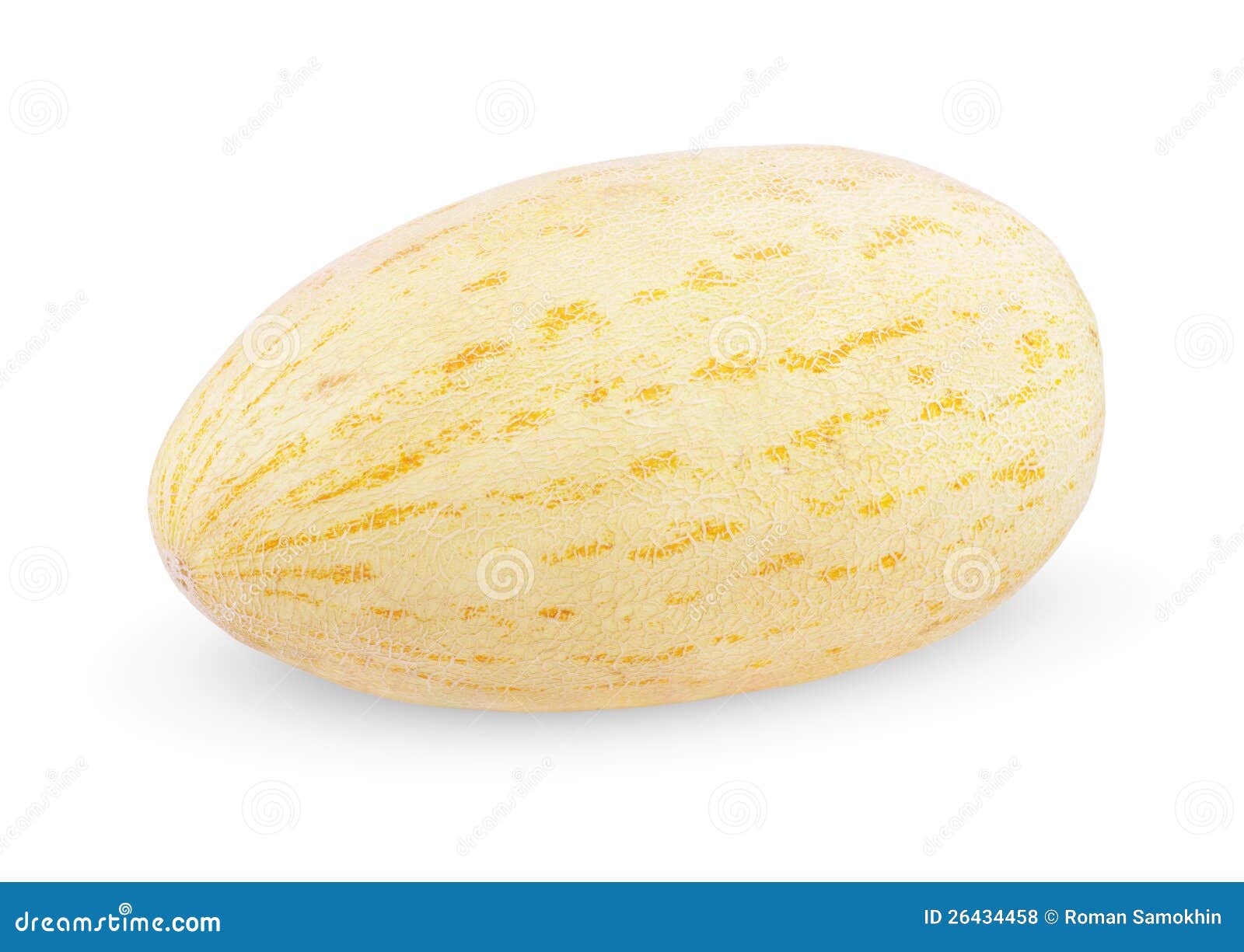 Cantaloupe melon fruit stock photo. Image of rockmelon 26434458