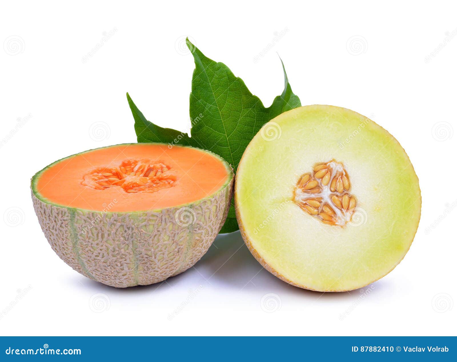 Cantaloupe Melon with Green Leaf Stock Photo Image of sweet, orange