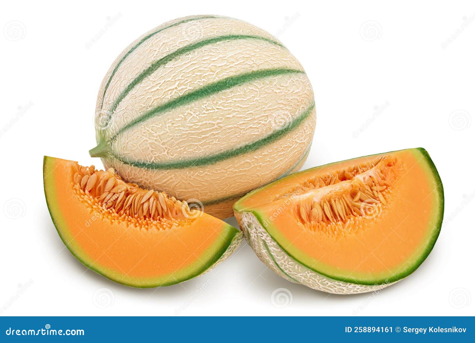 Cantaloupe Melon Isolated on White Background with Full Depth of Field