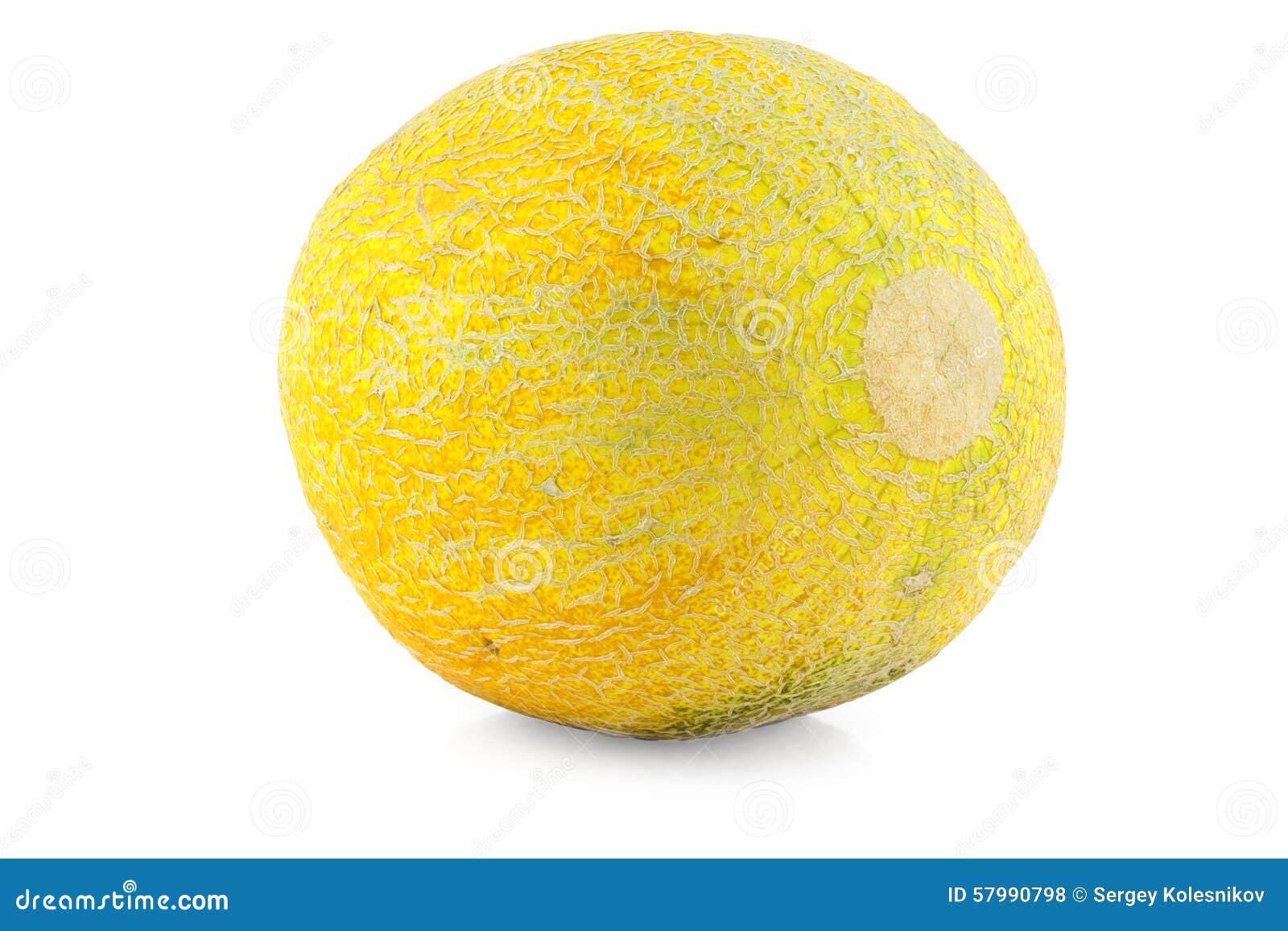 Cantaloupe melon stock photo. Image of yellow, ripe, vegetable 57990798