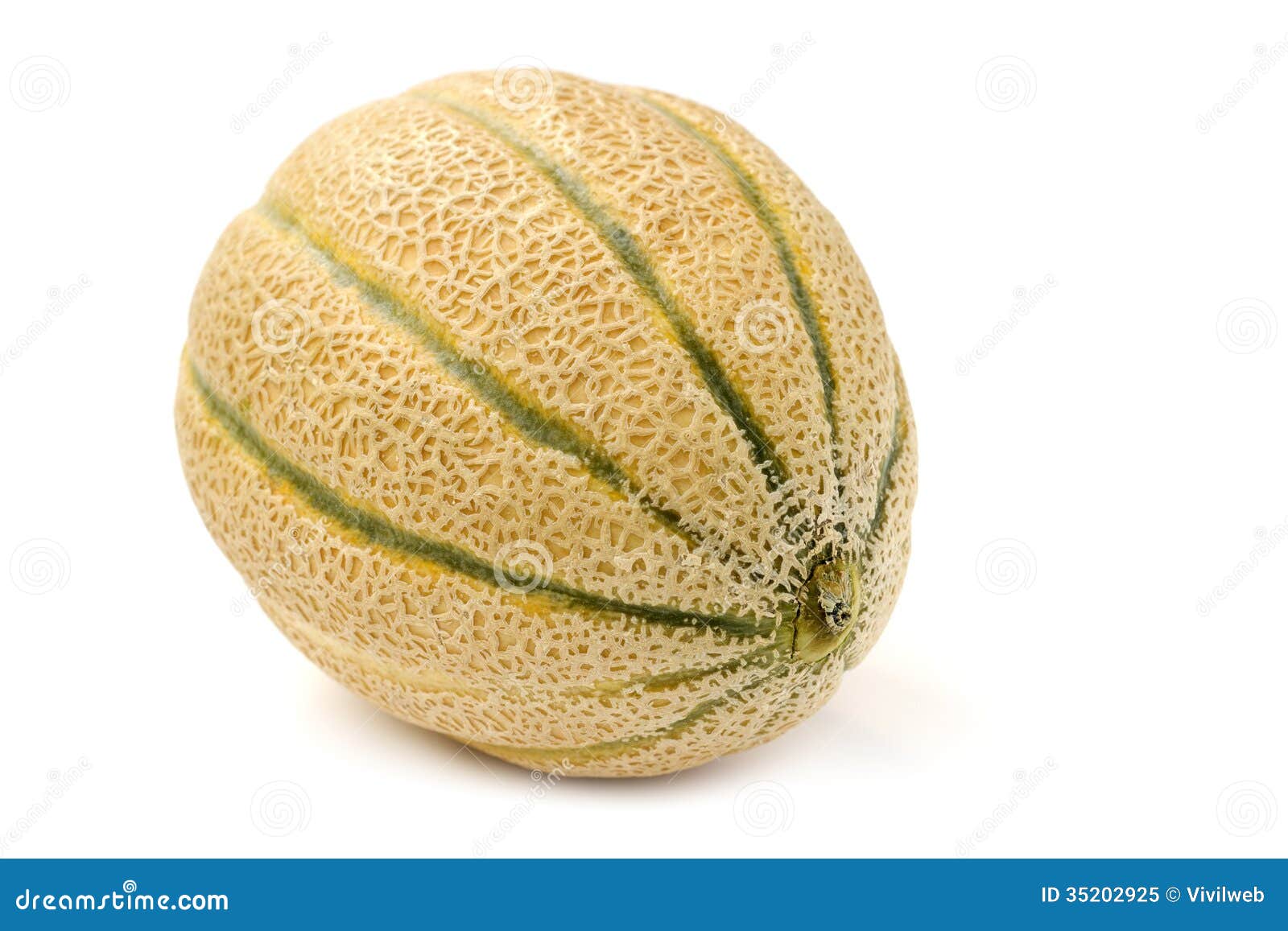 Cantaloupe melon stock image. Image of healthy, nutrition 35202925