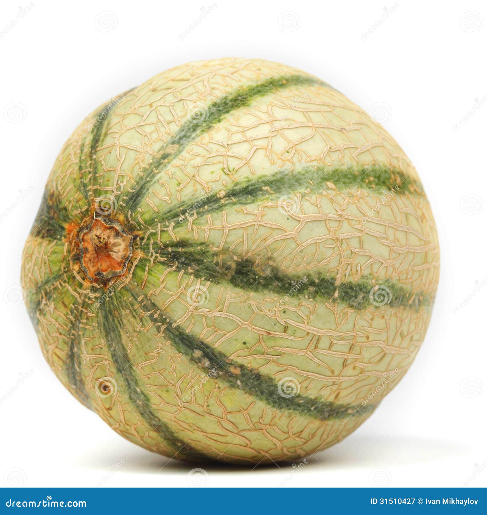 Cantaloupe melone stock image. Image of slim, nutritious 31510427