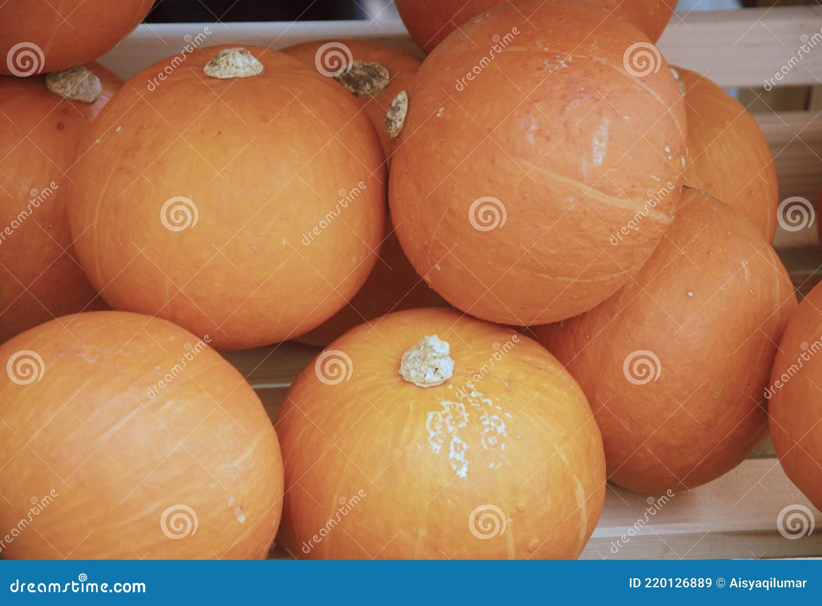 cantaloupe or rock melon fruit or the scientific name is cucumis melo var. cantalupo.