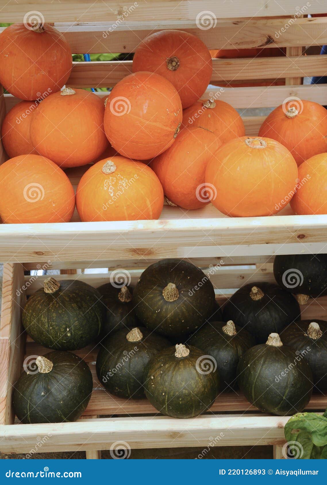 cantaloupe or rock melon fruit or the scientific name is cucumis melo var. cantalupo.