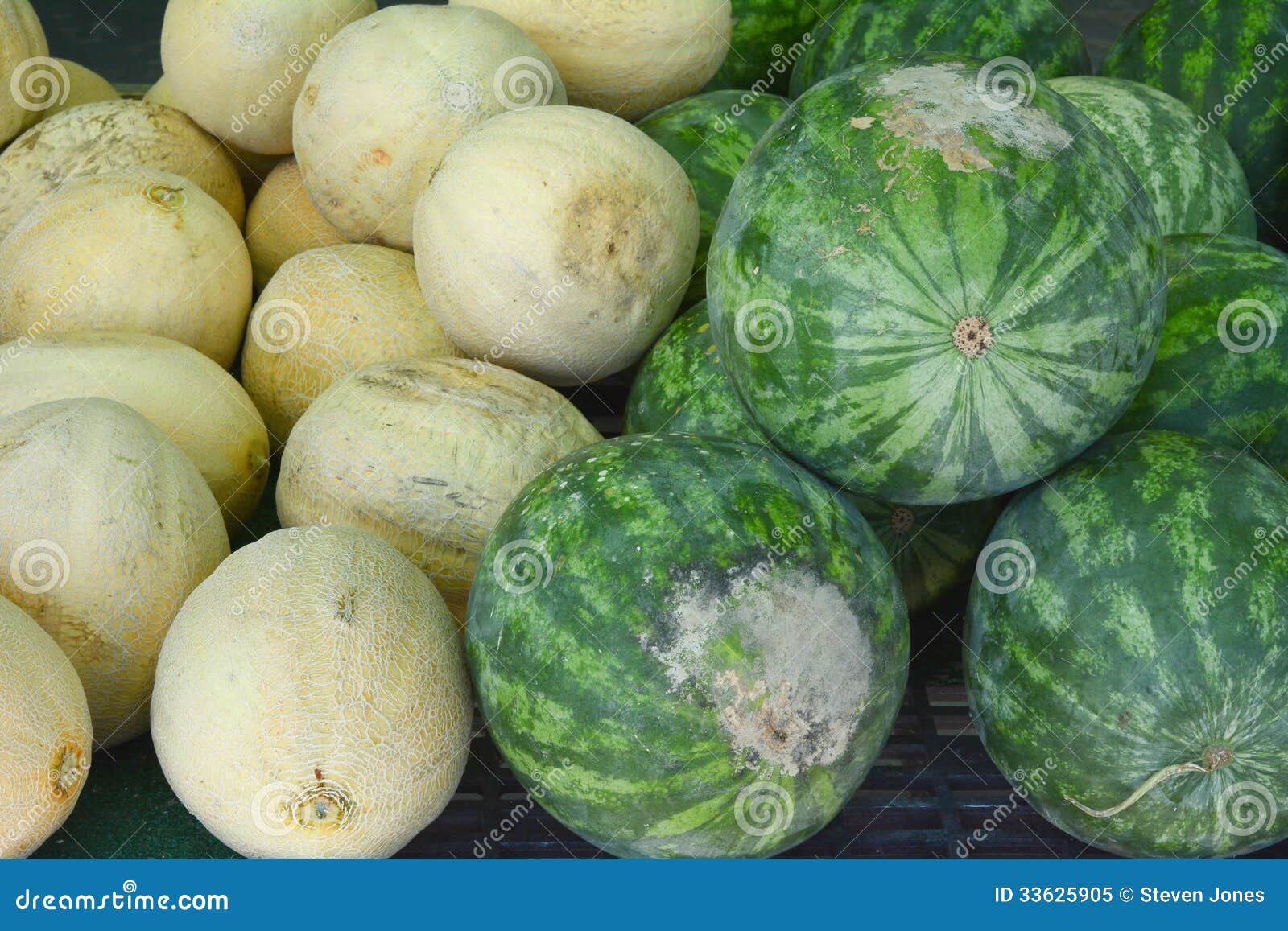 Cantaloupe and Watermelon stock image. Image of fiber 33625905