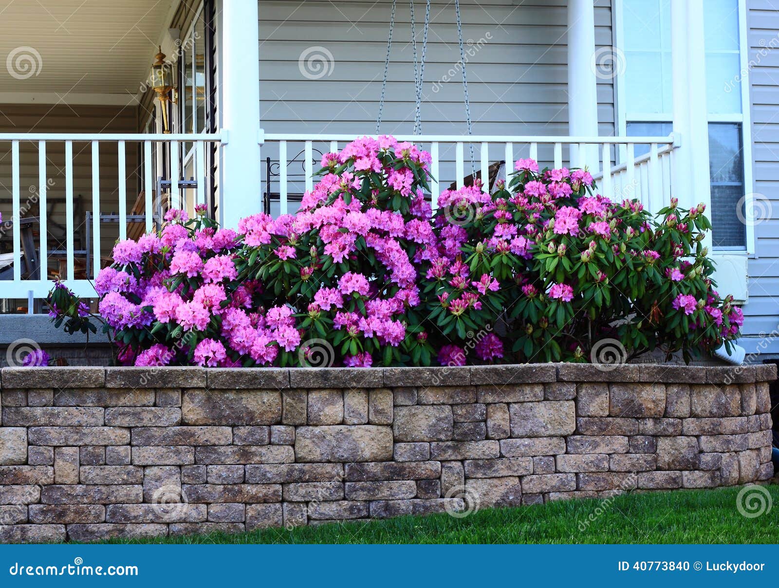 Canteiro De Flores Pelo Patamar Foto de Stock - Imagem de casa,  rododendron: 40773840