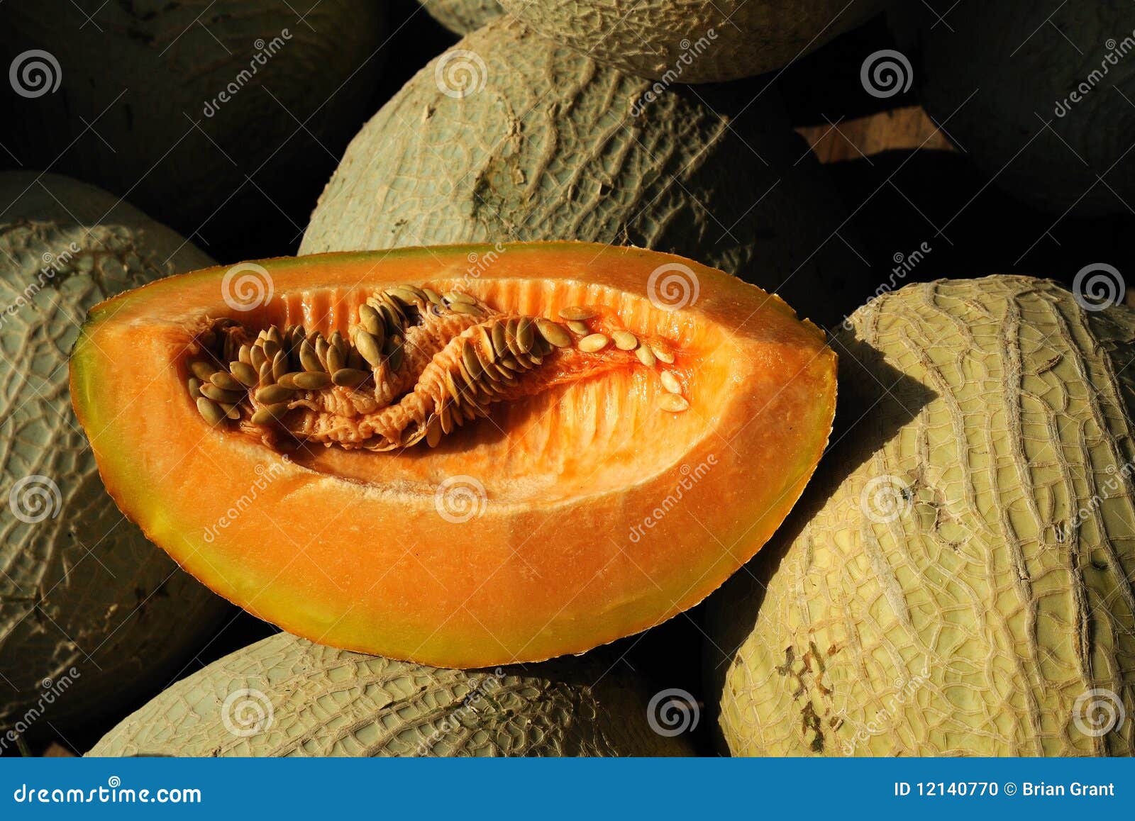 Canteloupe Melon on Display Stock Photo Image of colorful, canteloupe