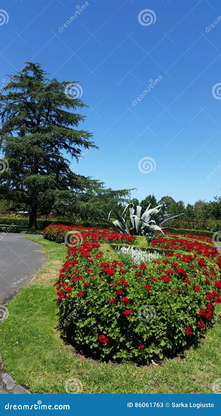 Canterbury Gardens stock image. Image of background, canterbury 86061763