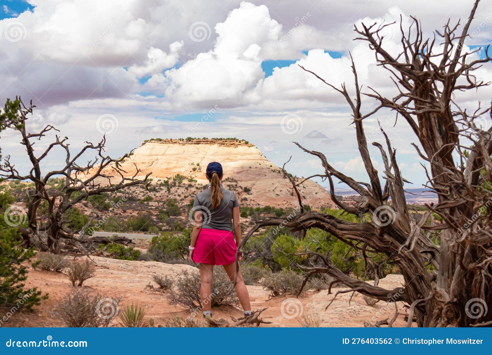 Canyonlands - Woman Next To Old Dry Juniper Tree with Scenic View of ...