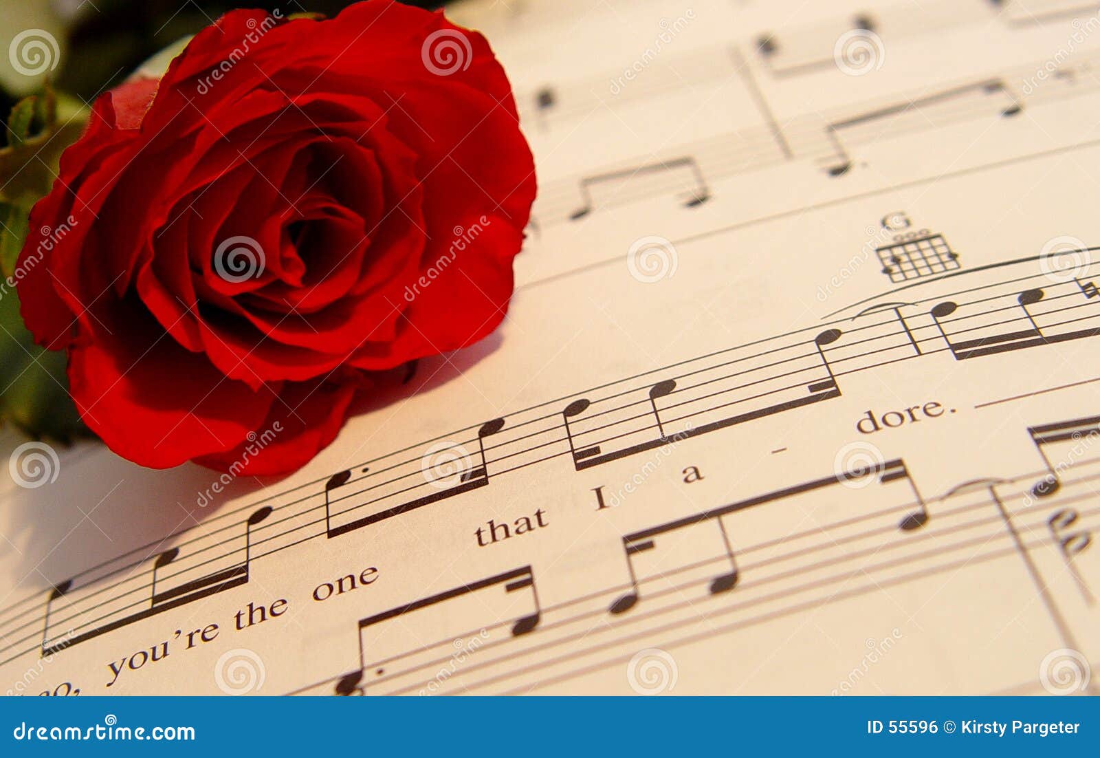 Canzone di amore fotografia stock. Immagine di fiore, romantico - 55596