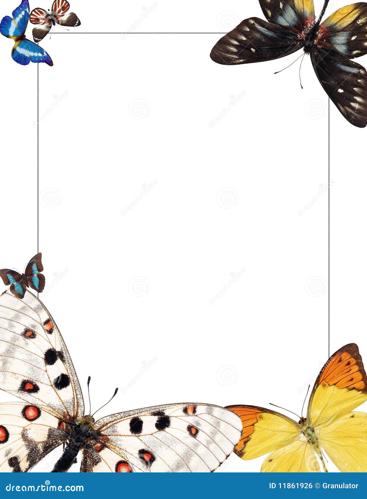 Capítulo Con Las Mariposas Para El Photomontage Stock de ilustración -  Ilustración de marco, cubo: 11861926