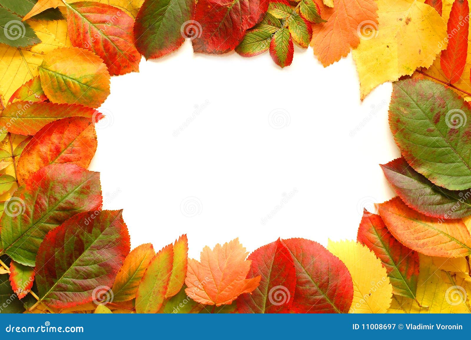Marco De Hojas De Otoño Caídas Imagen de archivo - Imagen de enhorabuena,  noviembre: 11008697, image size:1600x1154