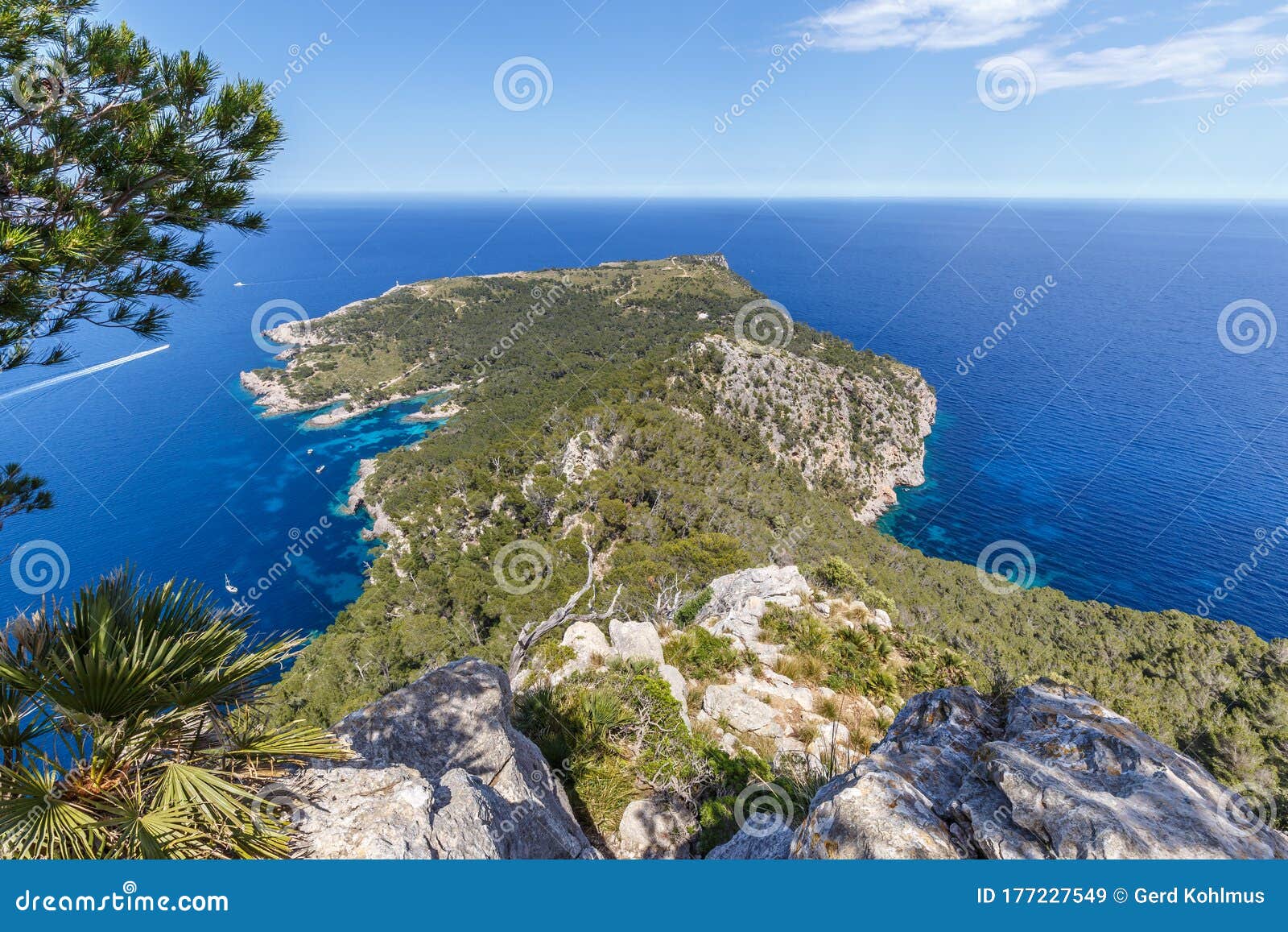 cap de pinar in the north of mallorca