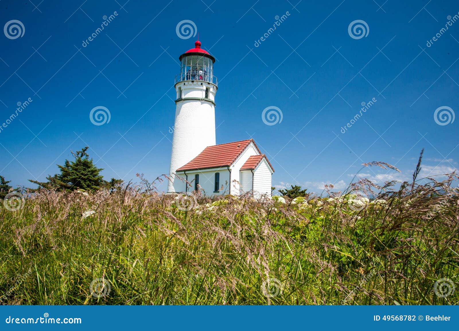 cape blanco lighthouse with native grasses