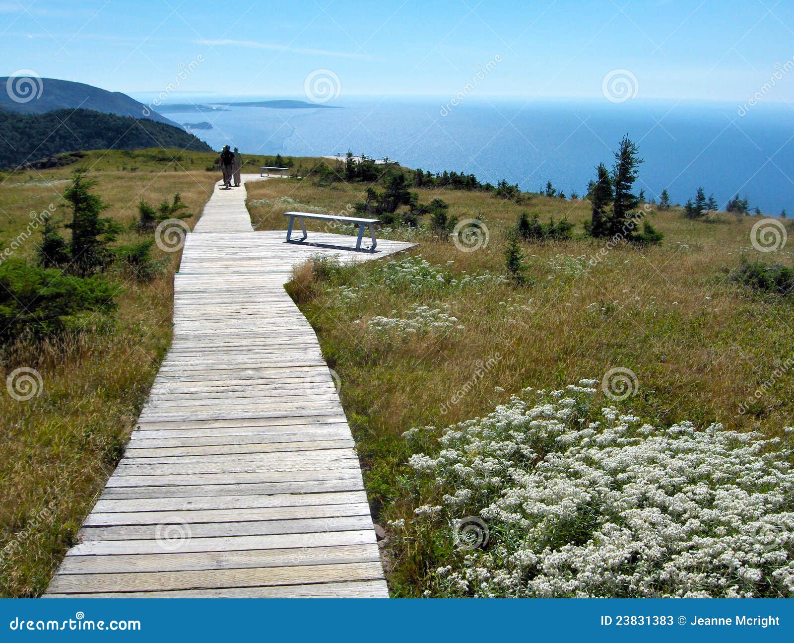 cape breton scenic trail with coastline view